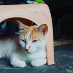 Ian Labay - @ian_nanoda - Instagram