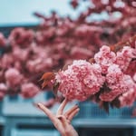 IanLabayani - @regilabayani - Instagram