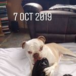 Ian Laker - @ian.laker.12 - Instagram