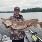 Ian Lampi - @ianlampi - Instagram