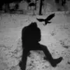 ianlamp2 - @ianlamp2 - TikTok