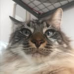 Ian Lander - @ianlander521 - Instagram