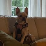Ian Lanzisera - @ianlanzisera - Instagram