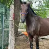 Ian Lara - @ian.lara26 - TikTok