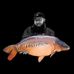 Ian Lusher - Facebook