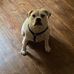 Ian Lavender - Facebook