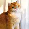 TYlee - @ianlee141319 - TikTok