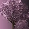 lianeledbetter - @lianeledbetter - TikTok
