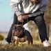 Adrian Legrand - Facebook