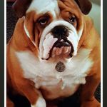 Ian Leigh - @ian.leigh.904 - Instagram