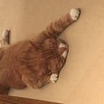 Ian Leigh - @ileigh83 - Instagram