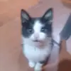 Ian Lezama😃 - @ian.lezama69 - TikTok