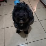IanLezama00 - @ianlezama00 - Instagram