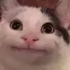ianlezama4 - @ianlezama4 - TikTok