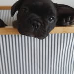 Ian Lines-Avatt - @iandl - Instagram