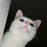 Ian-Linnn - @ian_linnnn - Instagram