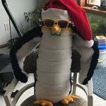 Ian Longtin - @person_of_life14 - Instagram