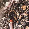 Ian Loomis - @ianloomis6 - TikTok