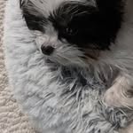 Ian looser - @ian.looser - Instagram