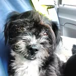 Ian Lord - @ianlord9477 - Instagram