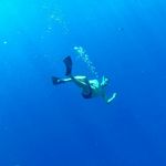 Ian Lot - @ianlott - Instagram