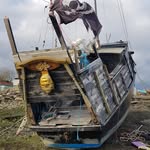 Ian Lott - @ian.costermongers - Instagram
