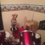 Ian Lunt - @percussionlover74 - Instagram