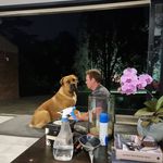 Ian Lyle - @iangregory_za - Instagram