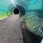 Ian Lytle - @adventures_at_the_zoo - Instagram