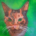 Ian MacEachern - @_ian_maceachern_ - Instagram