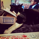 Ian MacFarland - @fatbatcat44 - Instagram