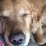 Ian MacLachlan - @maclachlan_ian - Instagram