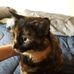 Ian Maclachlan - Facebook