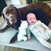 Ian MacLean - Facebook