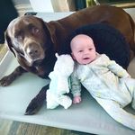 Ian MacLean - @ianbmaclean - Instagram