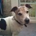 Ian MacPherson - Facebook