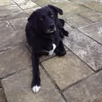 Ian MacQueen - @queeneth71 - Instagram