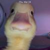 Ian - @ianmarble15 - TikTok
