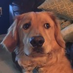 Ian Marble - @all.merican - Instagram