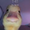 ianmarble25@gmail.com - @ianmarble25 - TikTok