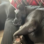 Ian Markovich - @ian_markovich10 - Instagram