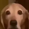 Ian_Markowich - @ian_markowich - TikTok