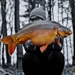 Ian Marrington - @ian_marrington - Instagram