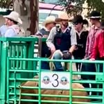 Ian Mather - @mtnnative1982 - Instagram