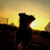 Ian Mayes - @ianmayes4 - TikTok