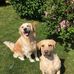 Iain McCafferty - Facebook