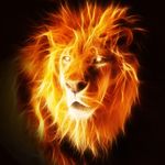 Ian Mcgraw - @ianlion8 - Instagram