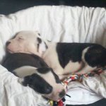 Ian Cooke-mcguinness - @ian.cookemcguinness - Instagram