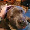 ianmcguinness625 - @ianmcguinness625 - TikTok