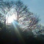 Ian Mc Hugh - @ian.mchugh.188 - Instagram
